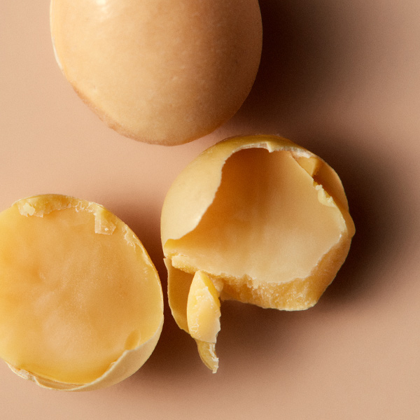 Cracked macadamia nuts styled on a peach background as a key ingredient visual for Aveda Damage Remedy campaign by The Charles Group
