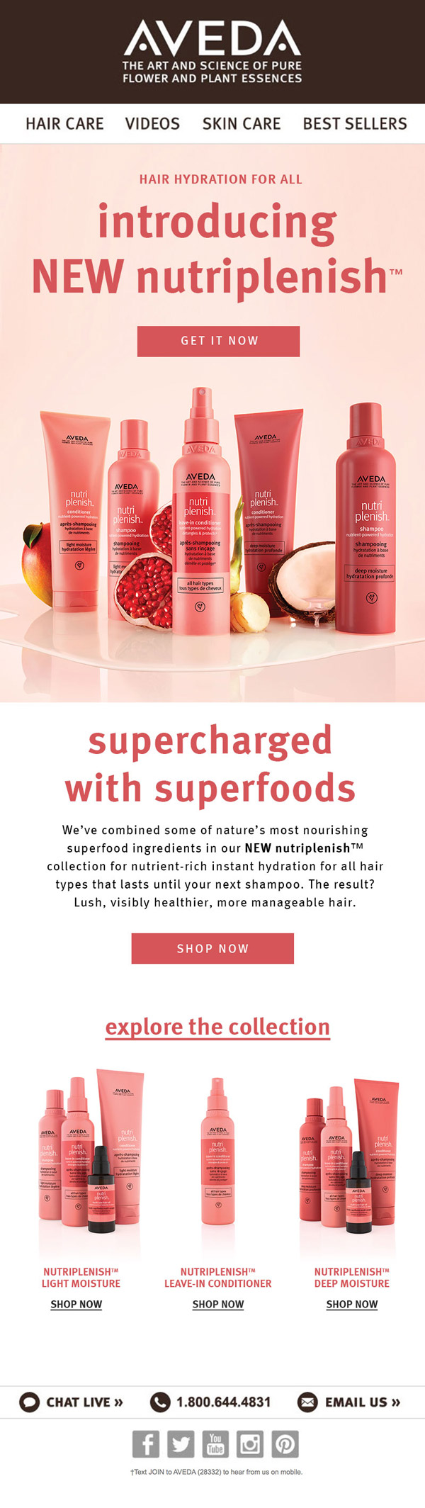 Aveda Nutriplenish product launch email design introducing the new collection with superfood messaging and shop CTAs