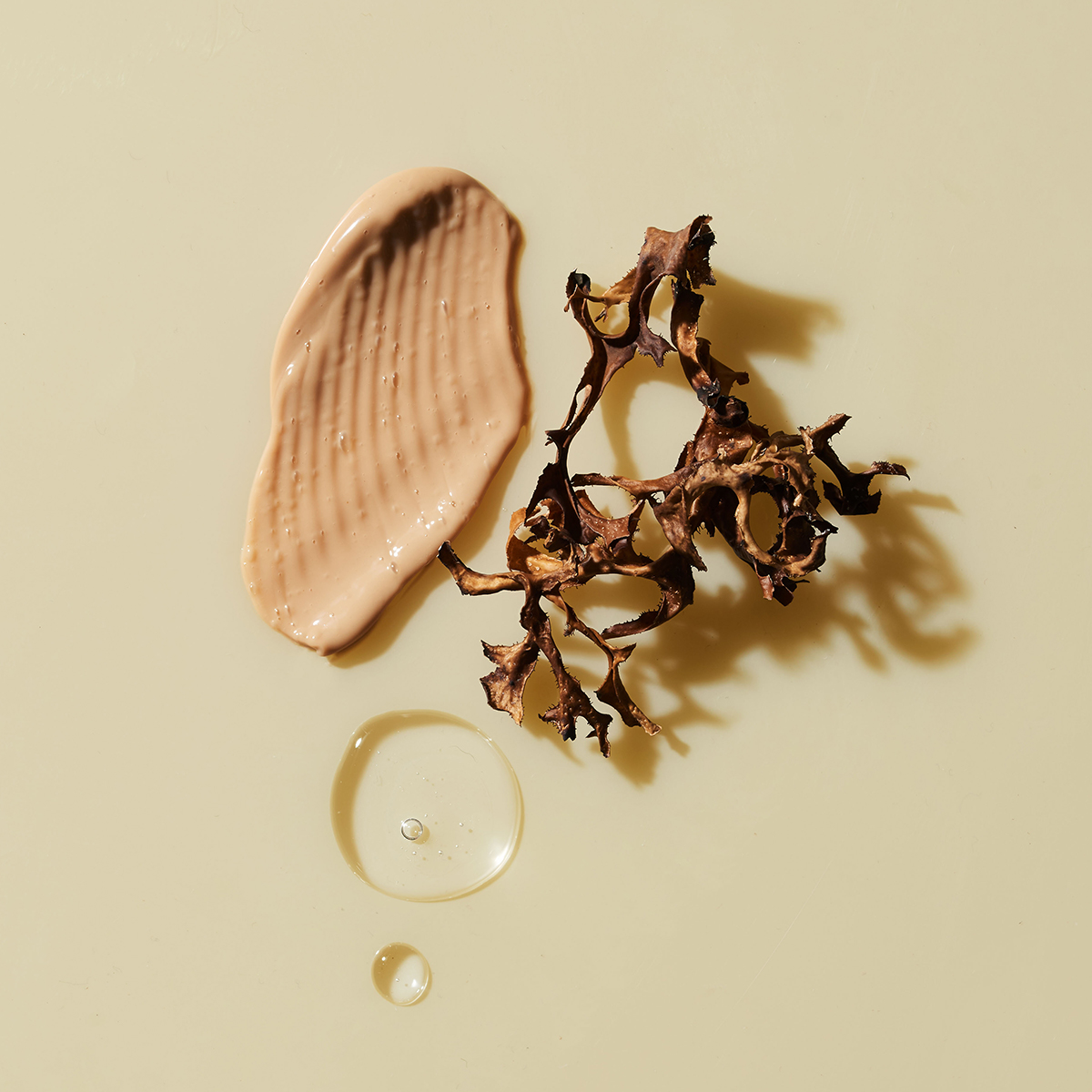 Aveda Sap Moss shampoo with dried moss and coconut oil drop styled in product flat-lay