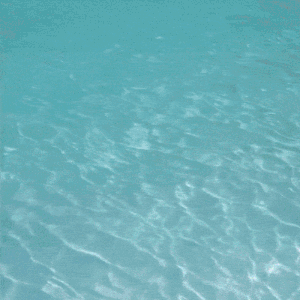 Instagram reel-style lifestyle social content for One Park Tower luxury residences