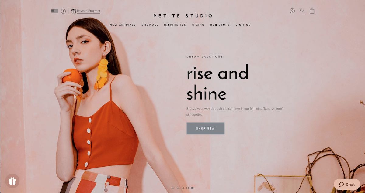 Petite Studio Shopify e-commerce homepage designed by The Charles Group, featuring the Dream Vacations campaign hero and Shop New CTA