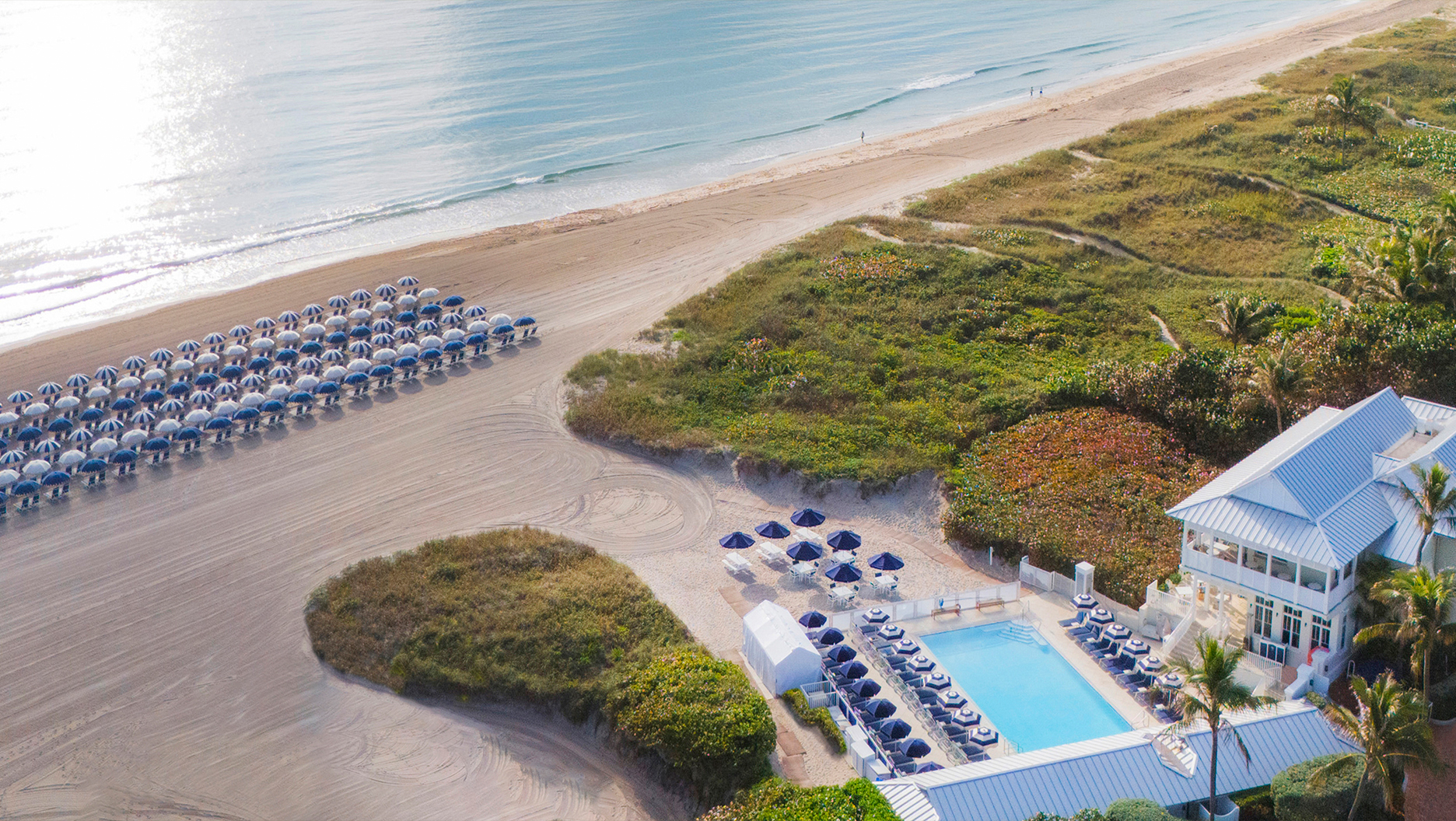 Aerial drone view of The Seagate Delray Beach Club showing rows of striped beach umbrellas, an oceanfront pool, and the Atlantic coastline, from The Charles Group hospitality marketing case study