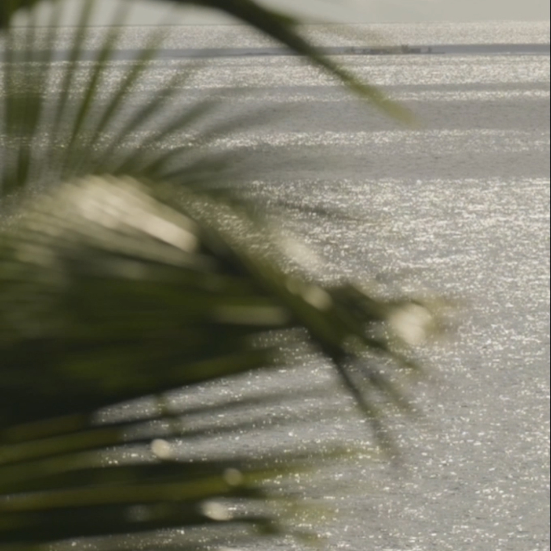 Close-up of a blurred palm frond in the foreground with a glittering sun-dappled ocean behind, evoking coastal tranquility at The Seagate Delray, from The Charles Group social media campaign