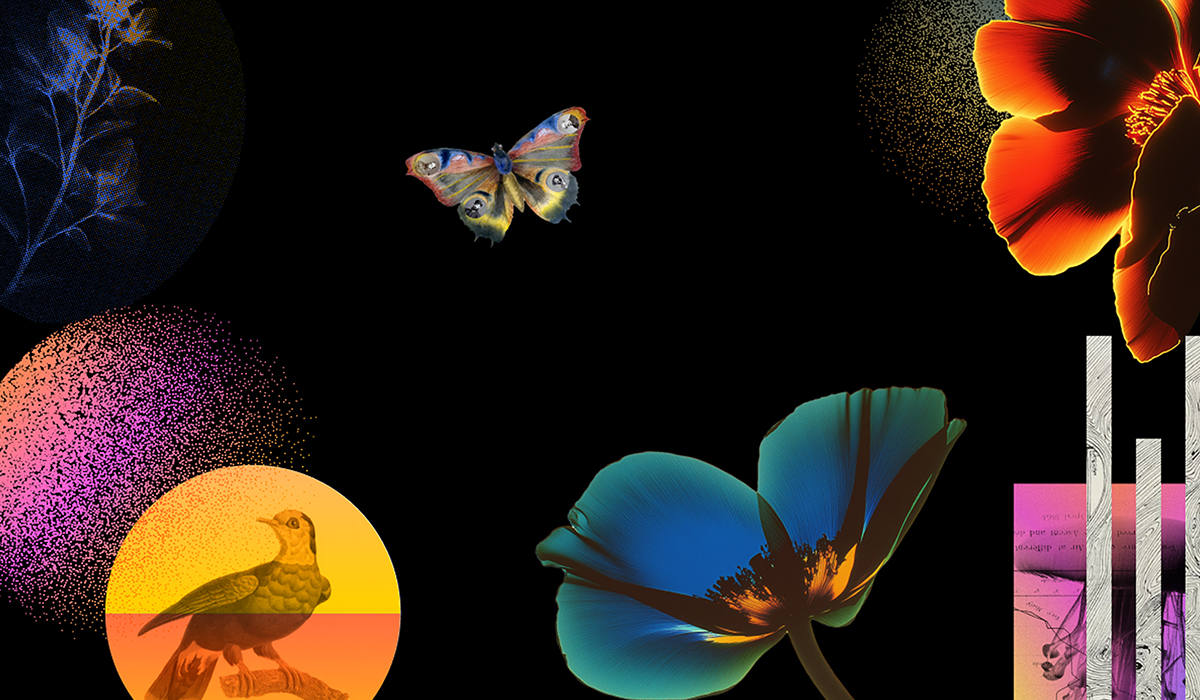 Surrealist digital collage featuring a butterfly, vivid florals, a bird, and cosmic orbs on a black background, hero image for The Charles Group's To Dream Again campaign